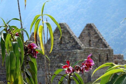 Machu Pichu 1 Day